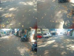 Sampah Daunan Pohon Berserakan di Metro, Dinas Terkait Harus Lebih Ektra dengan Kondisi Cuaca Saat Ini