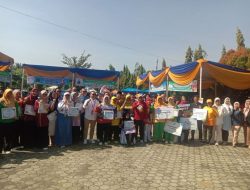 Pemkot Melalui Dinkes Metro Hadirkan OJK dalam Literasi Keuangan Kader Posyandu