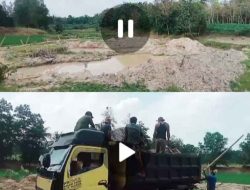 Lapor Pak Menteri ESDM, Diduga Tambang Ilegal Marak di Lampung Timur, Masyarakat Ngeluh Berdampak Merusak Lingkungan Padi-padi Mengering