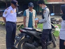 Bahaya dan Khawatir Pohon Tumbang saat Cuaca Ekstrim, Dishub Metro Sosialisasi ke Juru Parkir