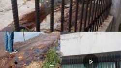 Warga Resah..!! Diduga Kotoran Kelelawar/Walet Milik Oknum Pengusaha di Metro Cemari Lingkungan