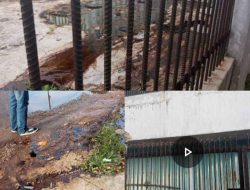 Warga Resah..!! Diduga Kotoran Kelelawar/Walet Milik Oknum Pengusaha di Metro Cemari Lingkungan